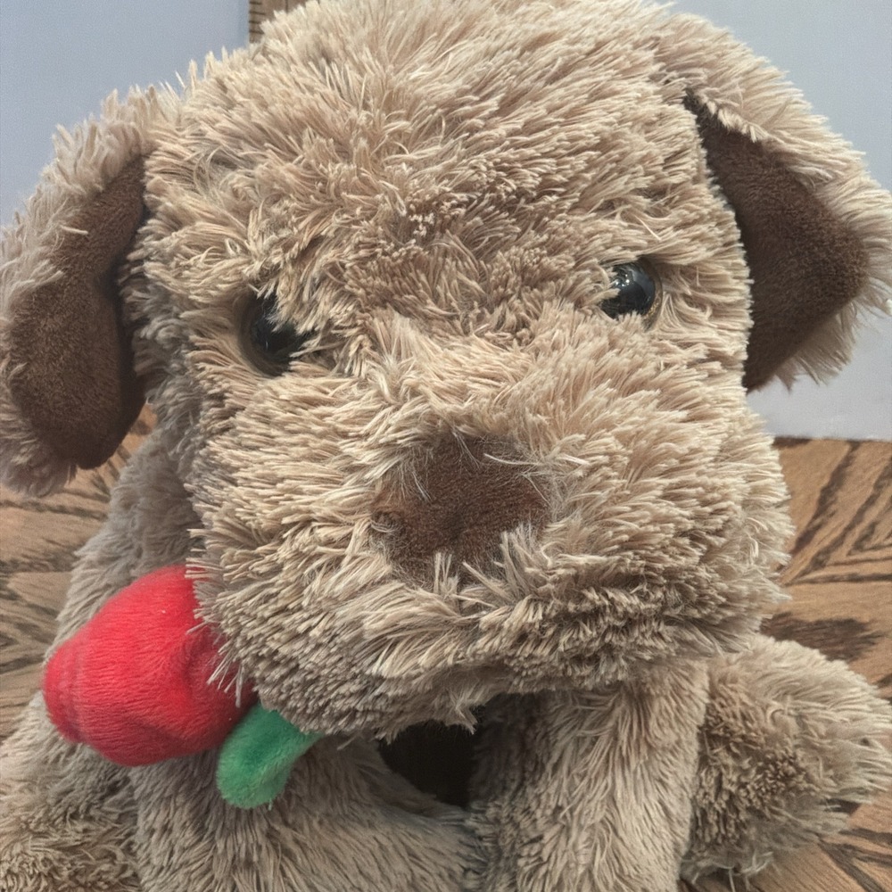 Valentine Unisex Russell Stover Plush Dog 12in Tan